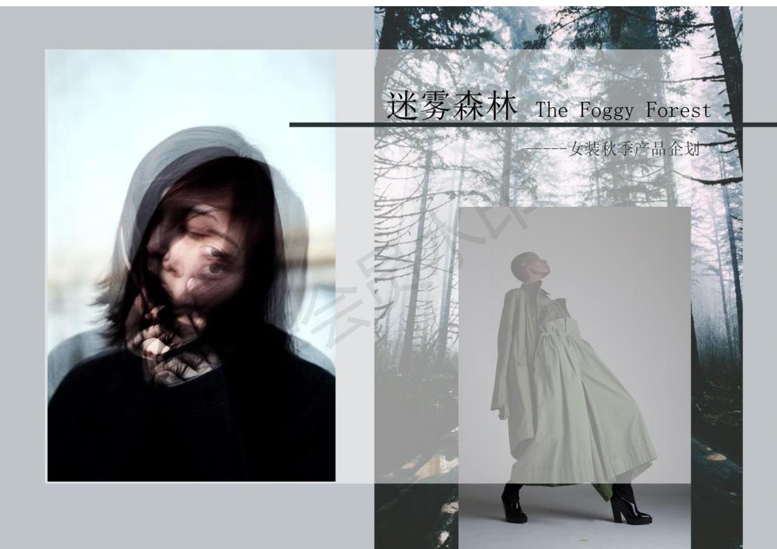 ppt模板-女装产品企划提案