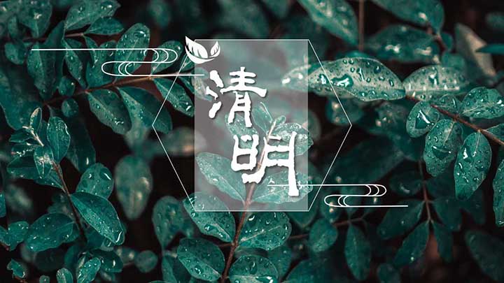 ppt模板-简约小清新文艺清明节气通用免费模板