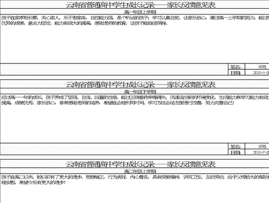 excel模板-综合素质填写示例