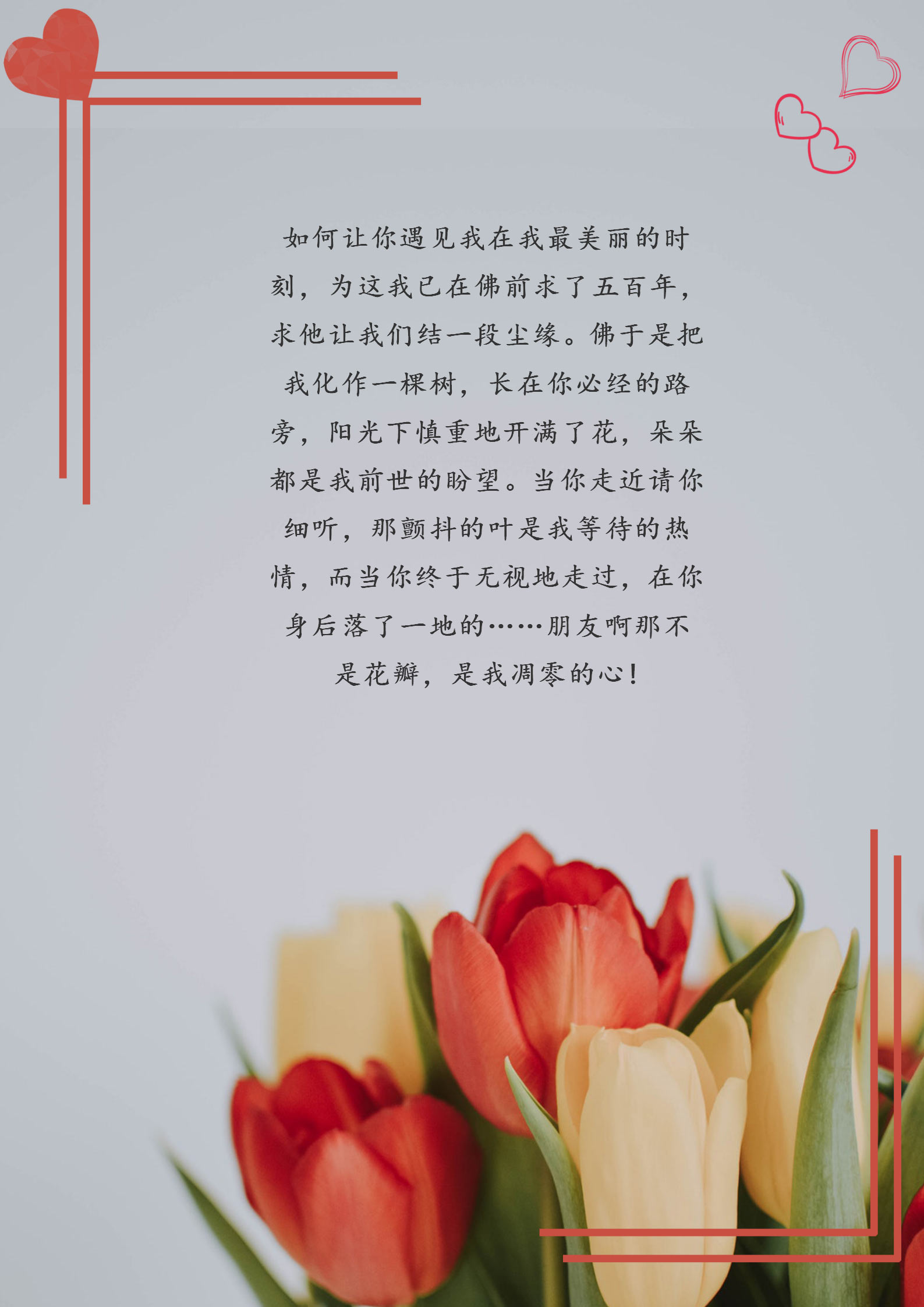 word模板-信纸温馨花卉