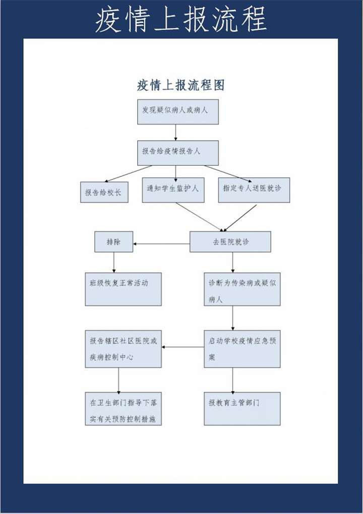 word模板-疫情上报流程图